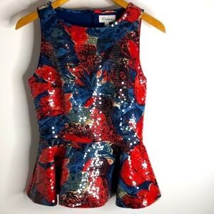 Anthropologie Wolven Sugared Peplum Top, 4